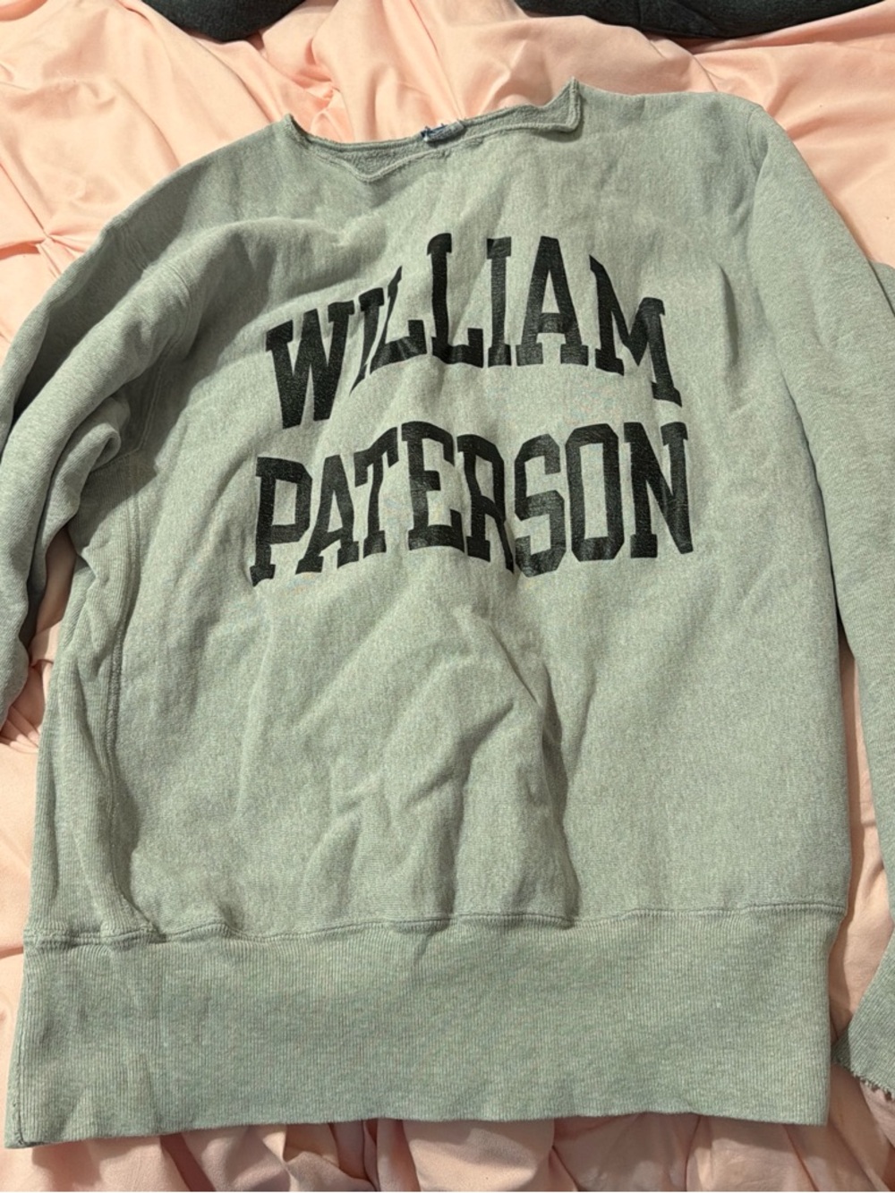 Champion Men's Pale Green Crewneck Sweatshirt with Black Lettering
